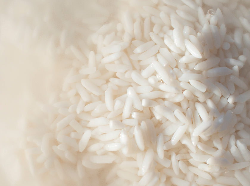 Rice Water Extract