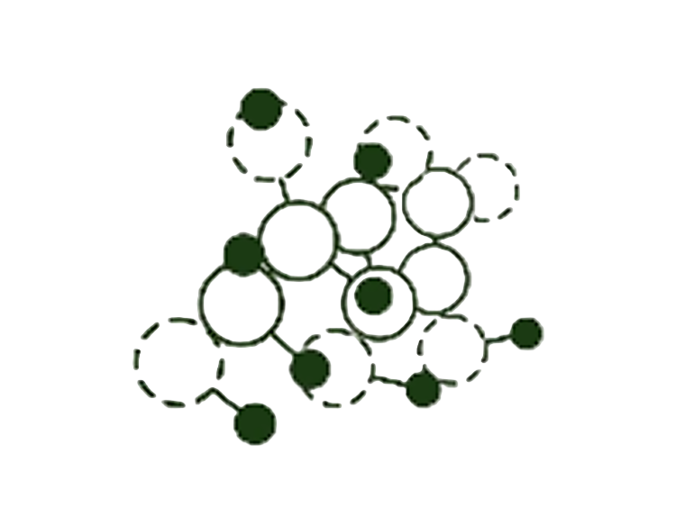 Ingredient molecule structure