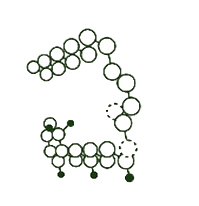 Ingredient molecule structure